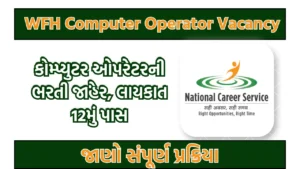WFH Computer Operator Vacancy